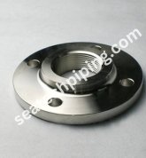 Alloy 20 Threaded Flange