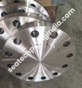 Stainless Steel Flange