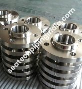 Stainless Steel 304 Flange