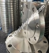 Stainless Steel 310S Flange