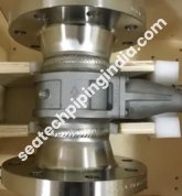 Stainless Steel Expander Flange