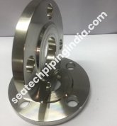 Stainless Steel Forged Flange
