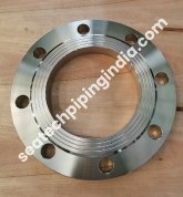 Stainless Steel Plate Flange