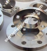 Stainless Steel Screwed Flange